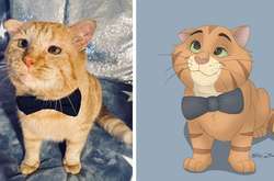 Художница превращает домашних животных в диснеевских героев (фото)