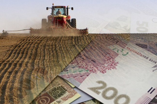 Детінізація агропромислового комплексу принесе до бюджетів місцевих громад 10 - 12 млрд грн