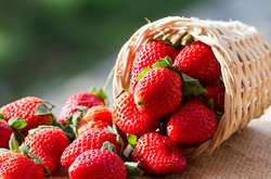 Цена на клубнику в Украине начала снижаться