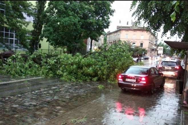 Затоплені вулиці та повалені дерева: у Львові пройшла потужна злива (фото, відео)