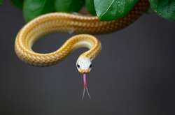 12 июня: какой сегодня праздник, приметы и запреты