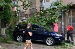 У центрі Києва на автомобілі рухнуло дерево (фото)