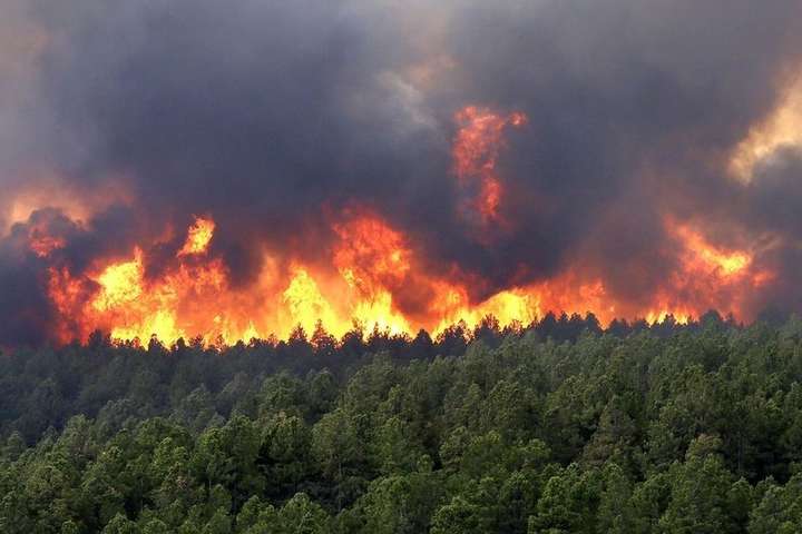 На Афоні почалася сильна лісова пожежа
