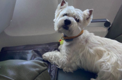 Байрушик вперше летів у літаку і був великим молодцем, - Дорошенко