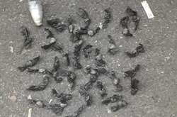  При поверхневому огляді оперативники виявили у правопорушника 45 пакетиків із забороненими речовинами 