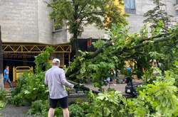 Падали дерева і плавали машини: злива наробила лиха в Києві (фото, відео)