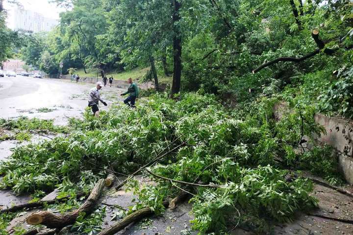 Негода у Києві: ураган пошкодив понад 50 дерев (фото)