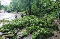 Негода у Києві: ураган пошкодив понад 50 дерев (фото)