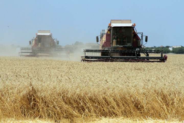У Мінекономіки визнали різке скорочення врожаю зерна у цьому році