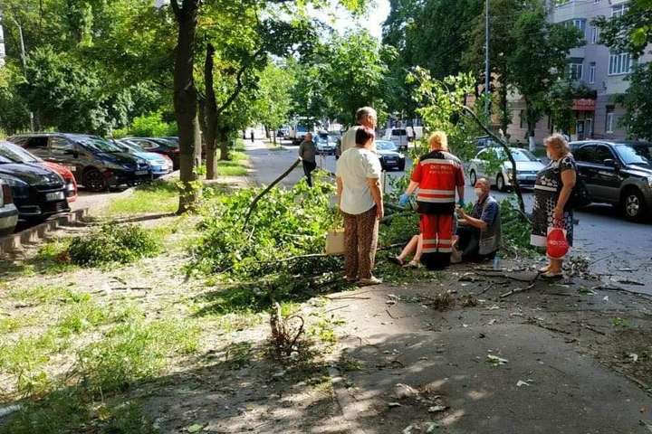 У Києві на дівчину впало дерево (фото)