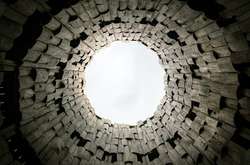 В Индии 80-летний мужчина упал в колодец, спасая кошку. Выбраться ему помогли собаки