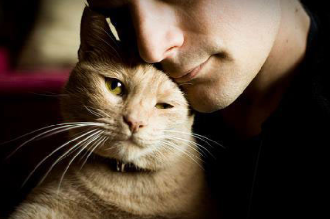 Американські дослідниці розповіли, як жінки оцінюють на фото чоловіків з котами