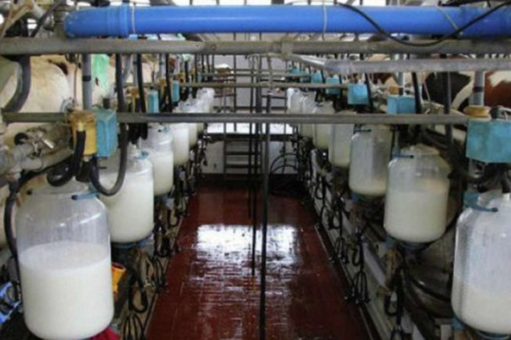 ТОП-5 цьогорічних країн-імпортерів української молочної продукції