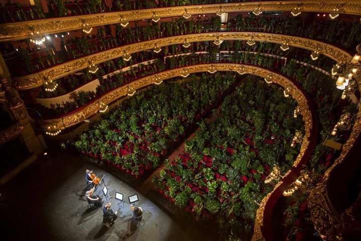 В опері Барселони відбувся незвичний концерт: замість людей глядачами були… рослини