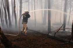 Пожежа у Чорнобильській зоні ліквідована