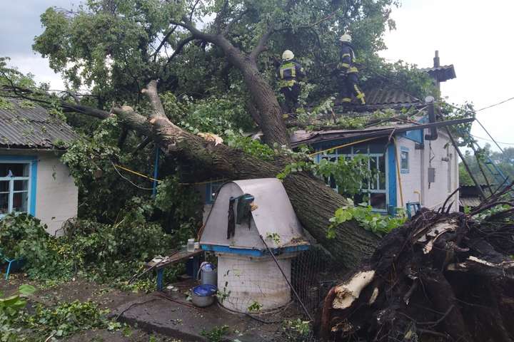 Під Києвом буревій повалив дерево на будинок (фото)