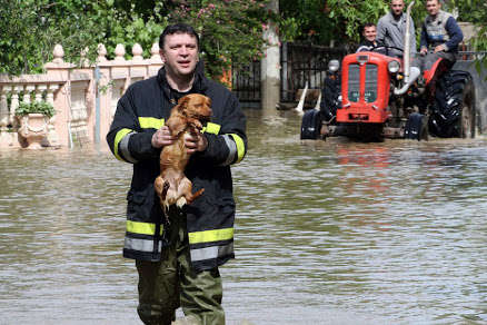 У Сербії через повені ввели надзвичайний стан у 20 муніципалітетах і містах