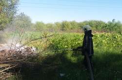 До ліквідації пожеж залучалися рятувальники