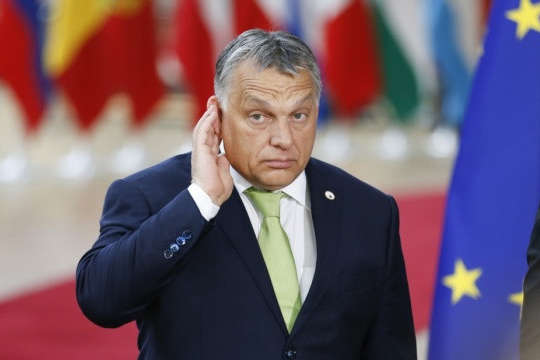 У МЗС анонсували зустріч Зеленського і Орбана 