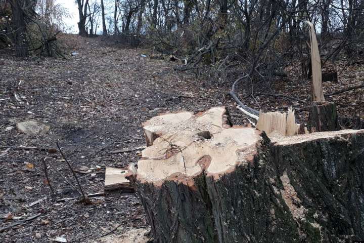 Паводки на Івано-Франківщині: працівникам лісництва оголошено підозру