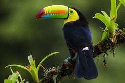 29 червня: яке сьогодні свято, прикмети і заборони