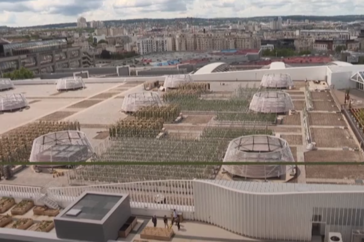 У Парижі відкрили найбільший у світі сад на даху