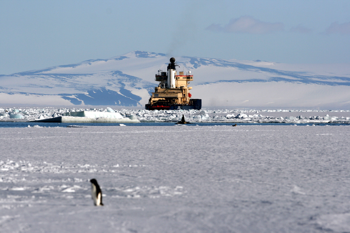 На Південному полюсі зафіксували рекордне потепління