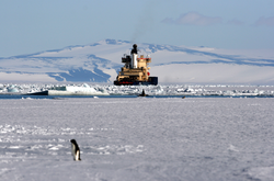 На Південному полюсі зафіксували рекордне потепління