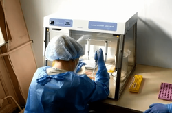 На Буковині за добу виявили ще пів сотні хворих на коронавірус