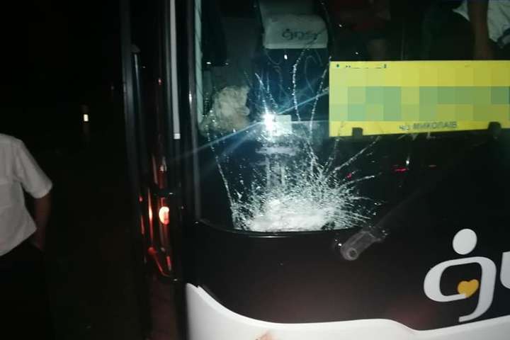 На трасі Київ - Одеса автобус збив лося (фото)