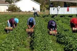 Працівникам з України не дозволяється подорожувати протягом тижня після приїзду до Польщі