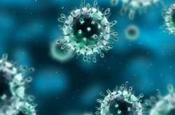  Вчені виявили новий штам коронавірусу Covid-19 