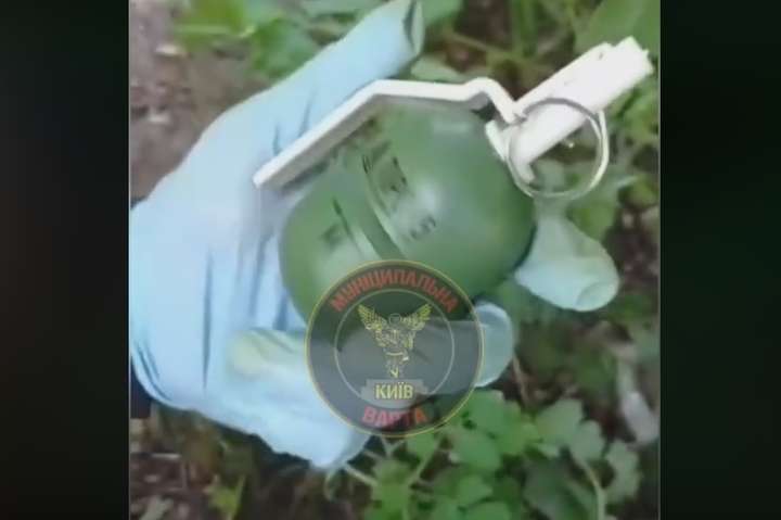 Охорона виявила «розтяжку» у Сирецькому парку в Києві (відео)