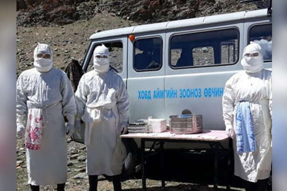 У Монголії зафіксували спалах чуми. Хворі з'їли бабака