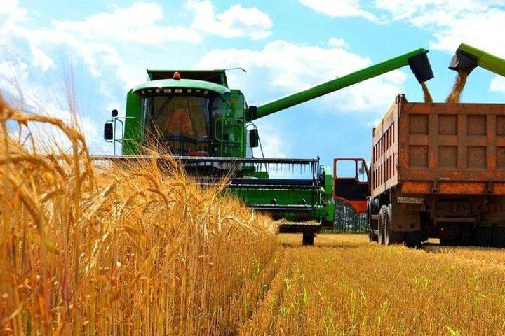 Жнива-2020: аграрії вже зібрали майже 1,13 млн тонн зерна