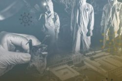 Вірус SARS-CoV-2 має штучне походження, оскільки його ключові елементи не еволюціонували природним чином, а були в нього інтегровані, - голова британської розвідки