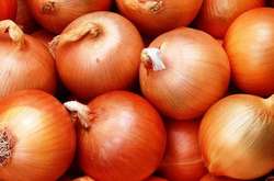 В Україні рекордно знизились ціни на цибулю