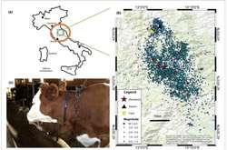 Дослідники порівняли дані про поведінку тварин з сейсмічною активністю й виявили, що всі вони відчували наближення землетрусу, інколи за 20 годин