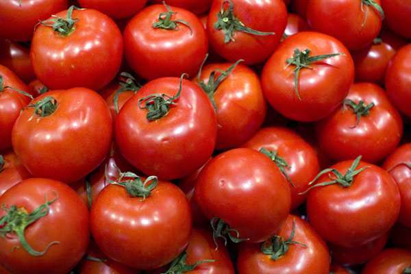 В Україні різко зросли ціни на помідори