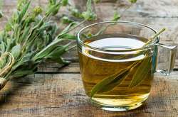 Защищает от рака и диабета: назван идеальный напиток для продления жизни