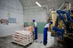 Виробництво борошна в Україні скоротилося