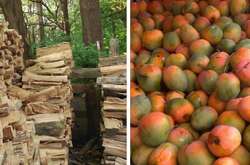 Гении маскировки. Фото животных, заставивших людей часами ломать мозг (фото)