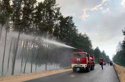 Ліквідація лісової пожежі на Луганщині триває другий день