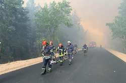 Пожежа на Луганщині: голова ОДА не виключає версію підпалу