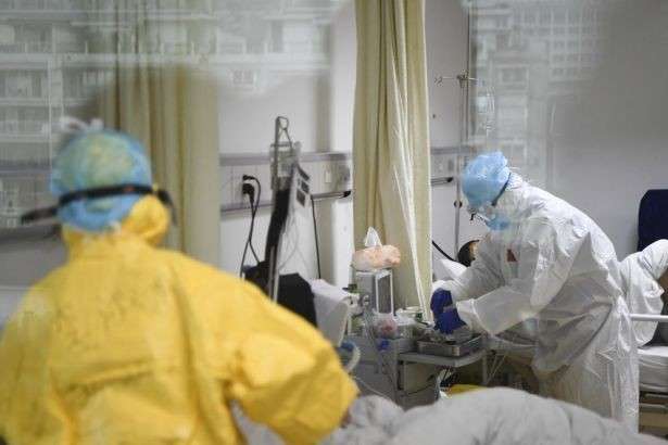 У Китаї й Монголії виявили бубонну чуму: ВООЗ запевняє, що про епідемію не йдеться