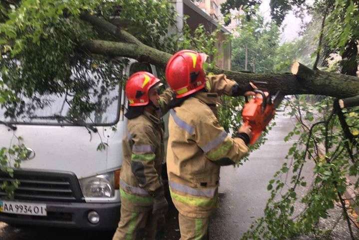 Наслідки негоди в Києві: дерево впало на автівку і заблокувало дорогу (фото)