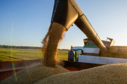 Украина установила рекорд по экспорту зерна