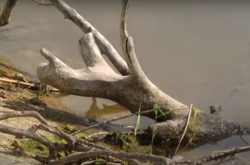 Экологическая катастрофа на Донбассе: водоемы пересыхают из-за уничтоженных боевиками шахт