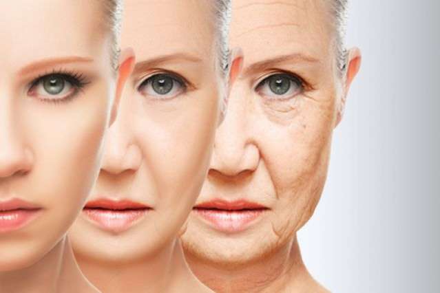 Ученые открыли важную причину старения