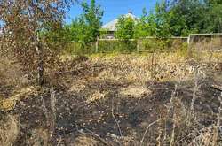 На Харківщині під час пожежі сухої трави загинула жінка